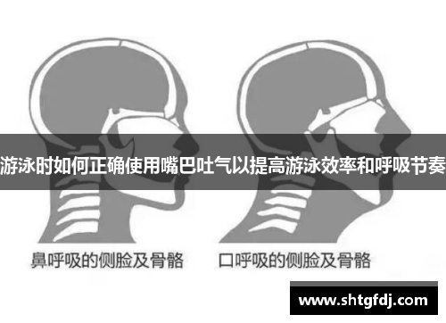 游泳时如何正确使用嘴巴吐气以提高游泳效率和呼吸节奏