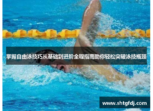 掌握自由泳技巧从基础到进阶全程指南助你轻松突破泳技瓶颈